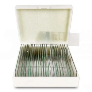 LÁMINAS PREPARADAS PS03 NIVEL UNIVERSITARIO PREMIERE